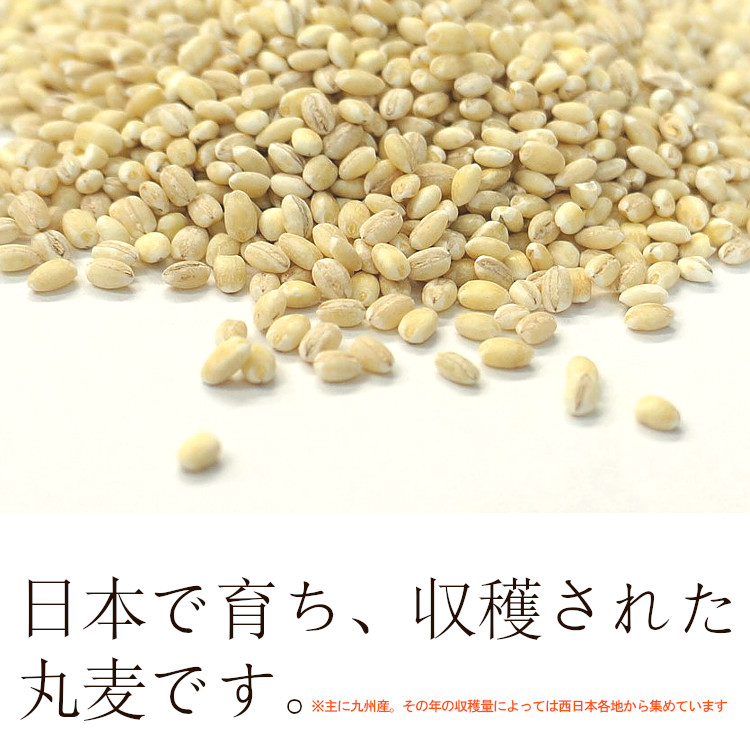 国産 丸麦 大麦 送料無料