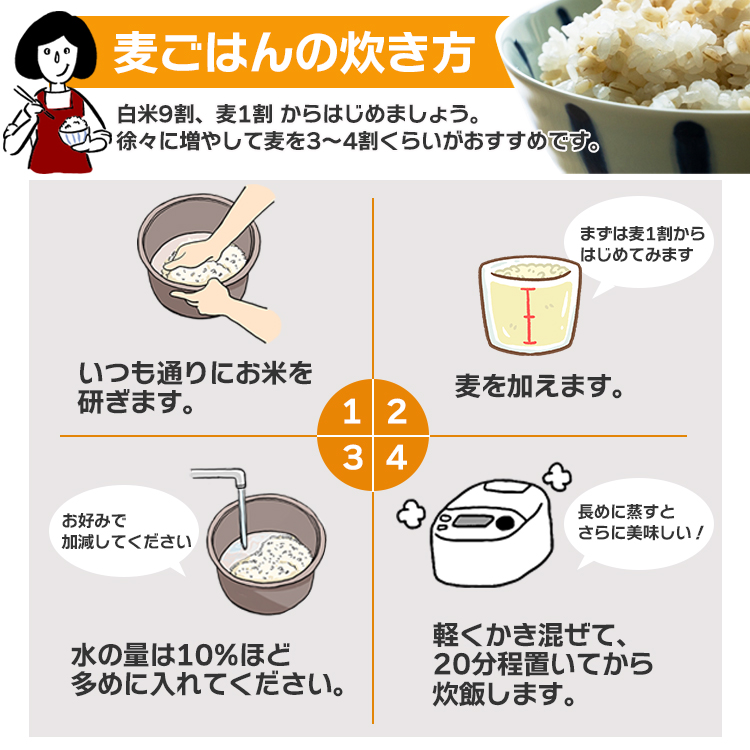 国産 丸麦 大麦 送料無料