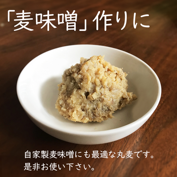 国産 丸麦 大麦 送料無料