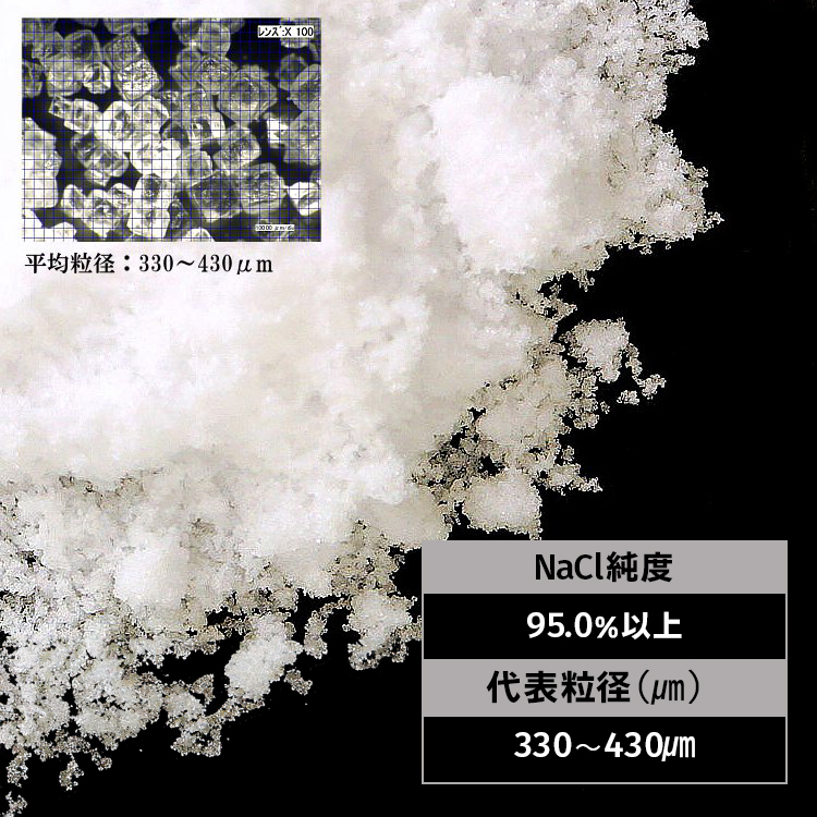 塩 業務用 並塩 ナイカイ