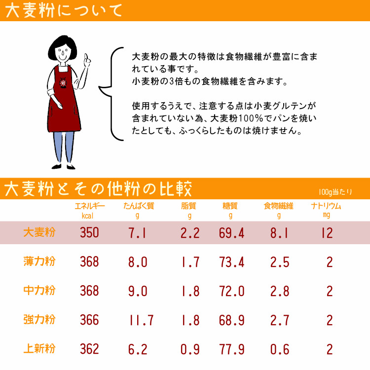 粉 大麦 九州産 食物繊維 送料無料