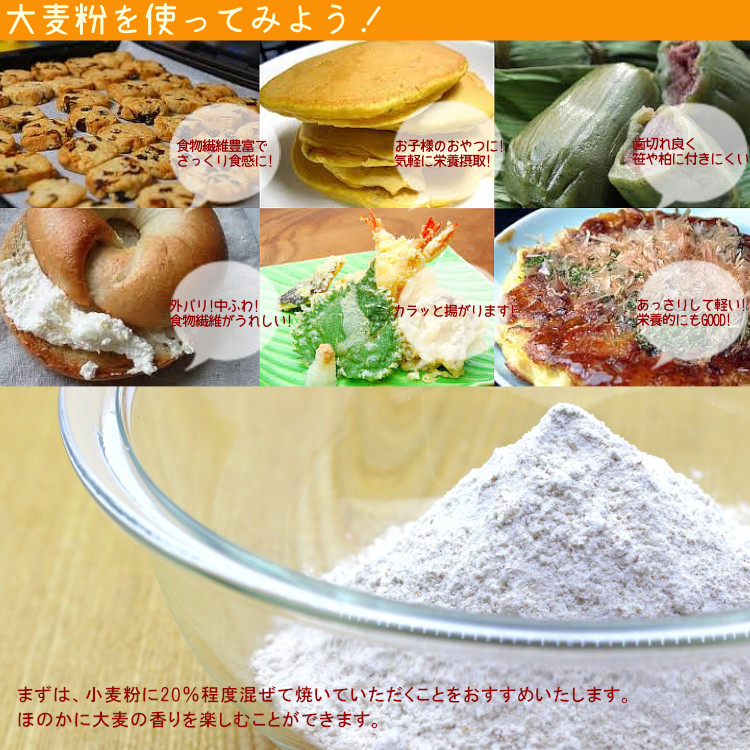 粉 大麦 九州産 食物繊維 送料無料