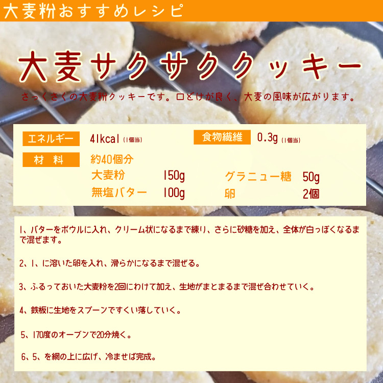 粉 大麦 九州産 食物繊維 送料無料