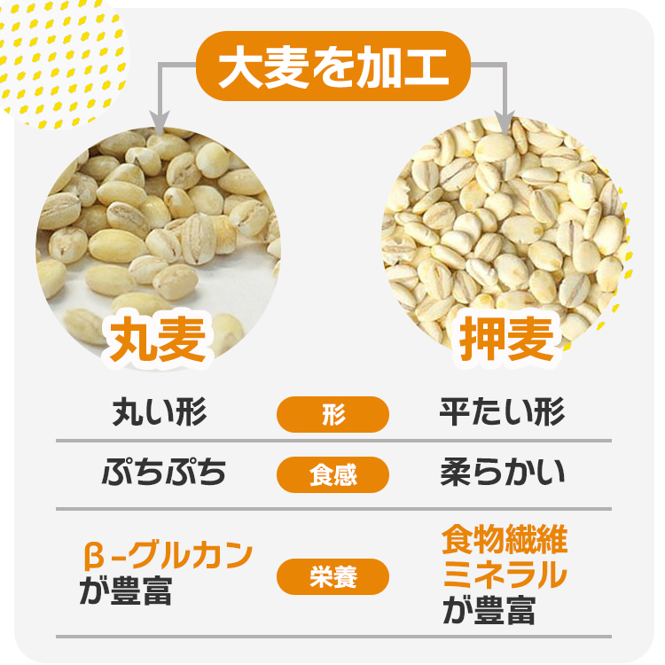 特選押麦 5kg×5 計25kg / チャック付 送料無料 大麦 国産 食物繊維 β