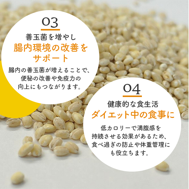 押麦 大麦 国産 食物繊維 βグルカン