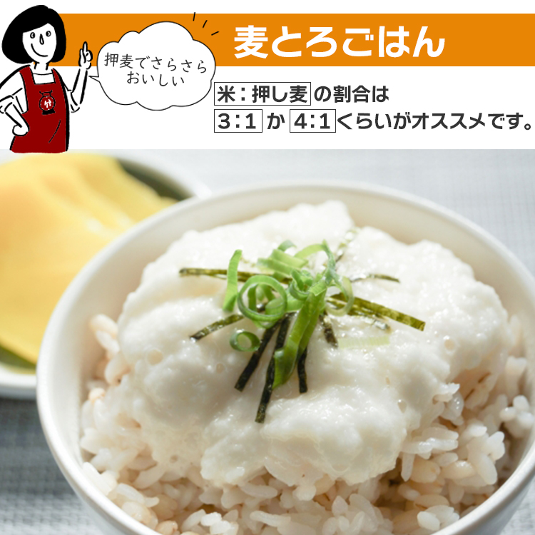 特選押麦 5kg×5 計25kg / チャック付 送料無料 大麦 国産 食物繊維 β