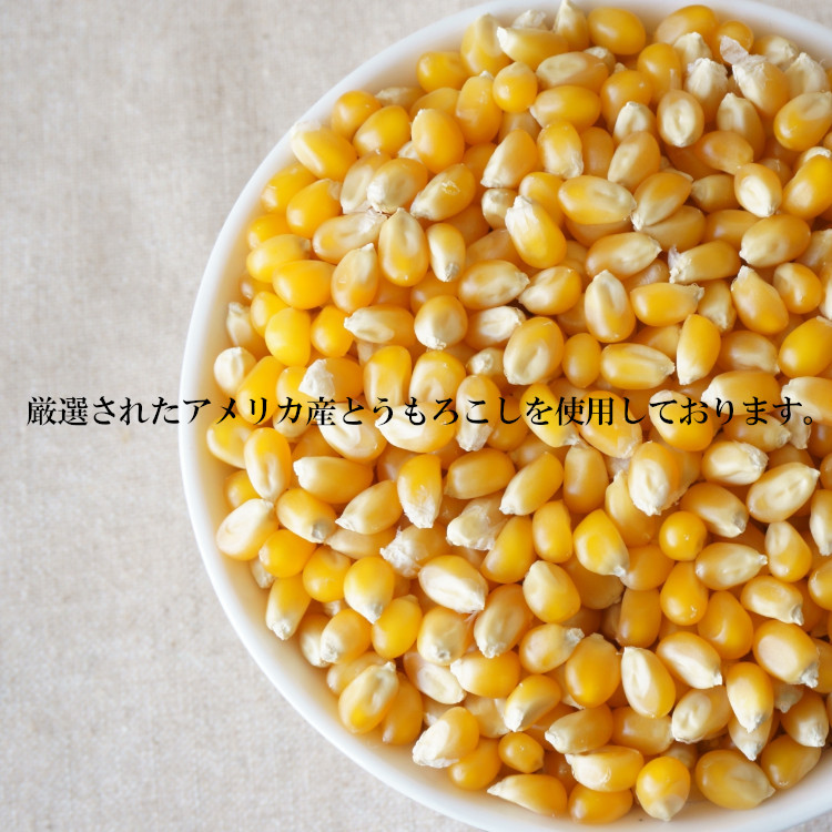 とうもろこし ポップコーン豆 送料無料