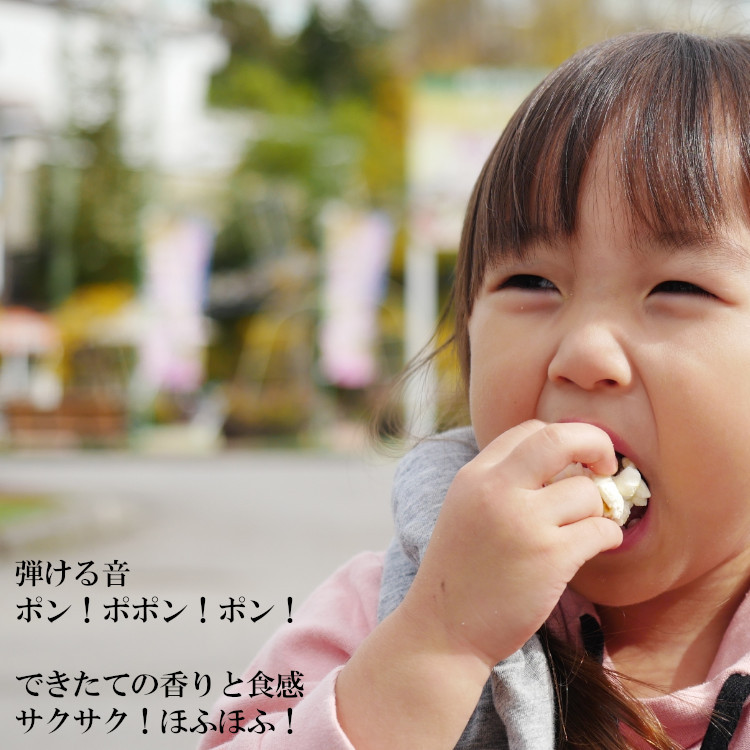 とうもろこし ポップコーン豆 送料無料