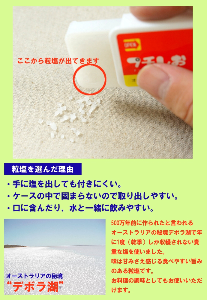 塩 携帯用塩 プチしお