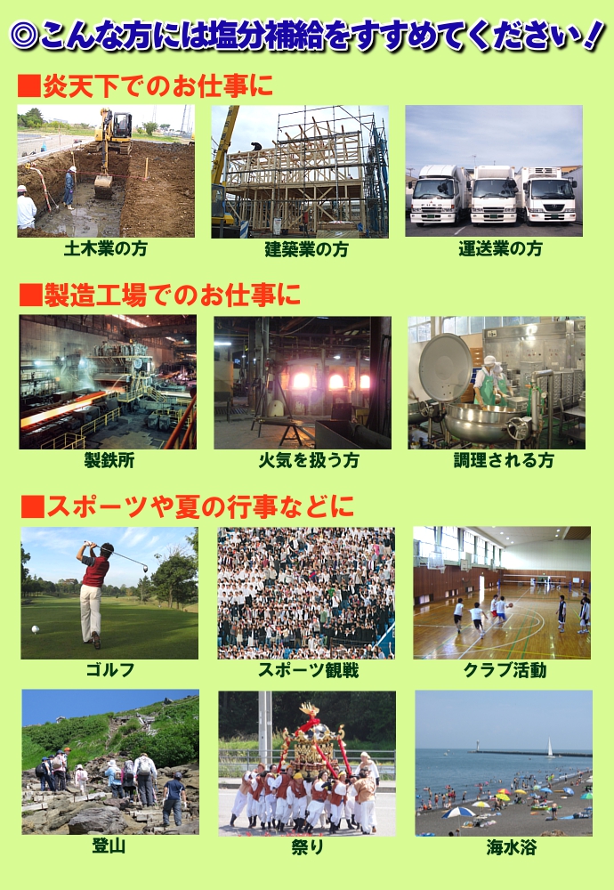 塩 携帯用塩 プチしお