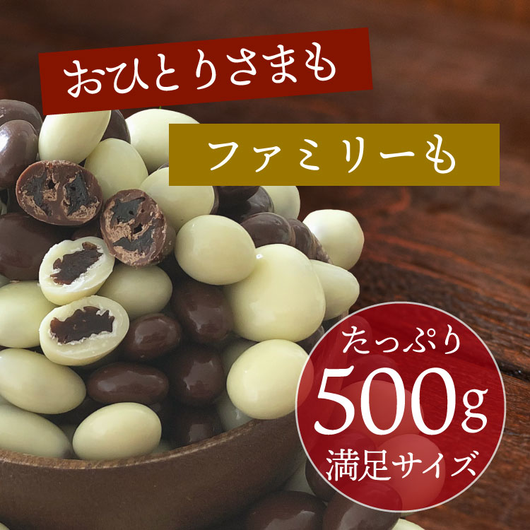 10%OFF!／レーズンチョコボールミックス［チョコ＆ヨーグルト］500g