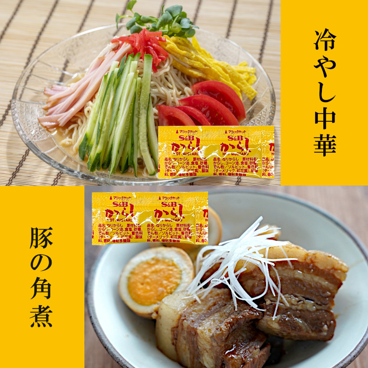 小袋 スパイス S&B からし 送料無料