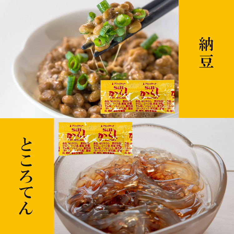 小袋 スパイス S&B からし 送料無料