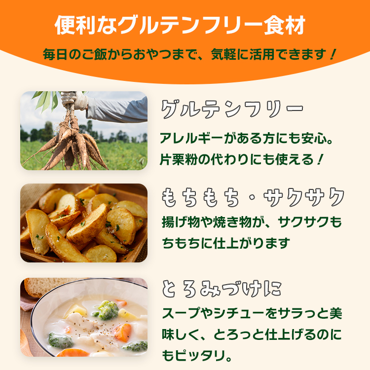 粉 タピオカ粉 キャッサバ芋 送料無料