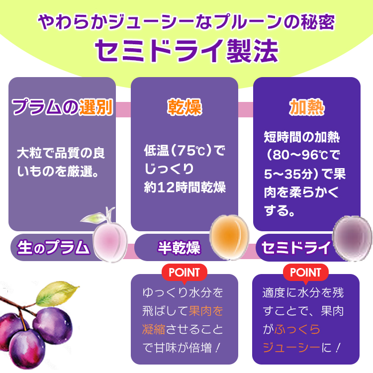 ドライフルーツ 種抜き プルーン 送料無料