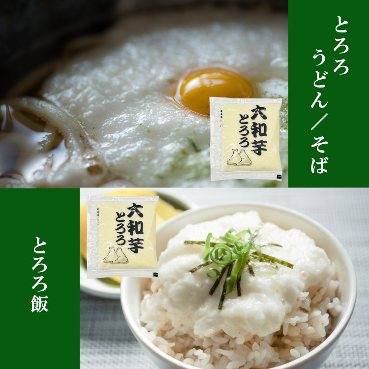 冷凍）国産 大和芋とろろ 40g×100 / クール便 : こわけや - 通販