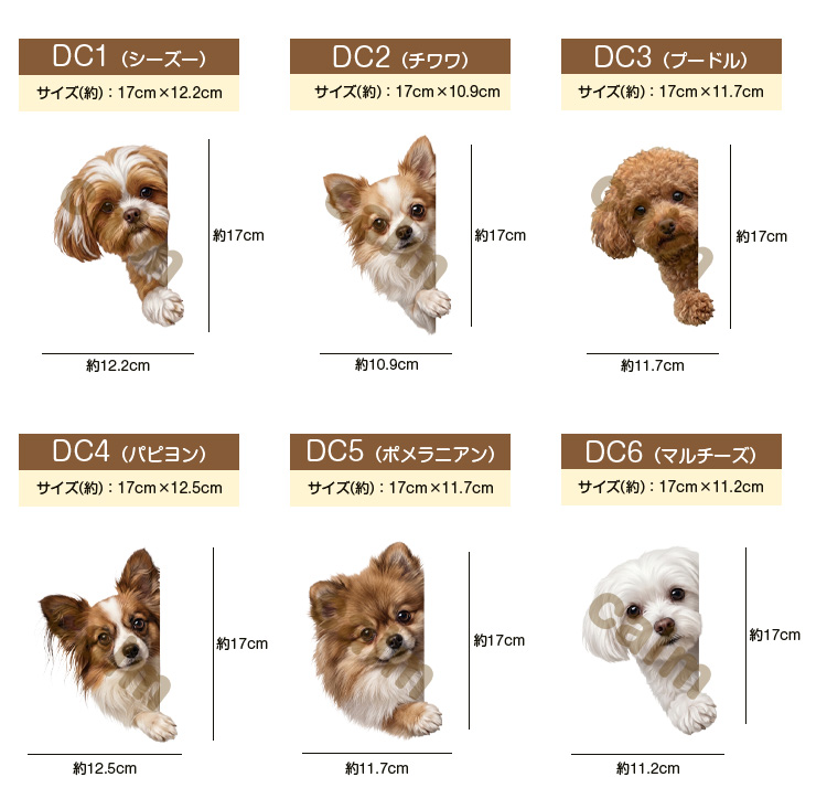 犬 ステッカー 柴犬 覗き込む犬 かわいい 動物 アニマル シール カー