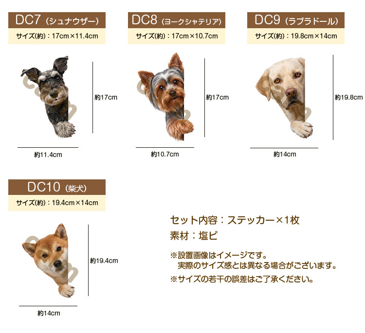 犬 ステッカー 柴犬 覗き込む犬 かわいい 動物 アニマル シール カー