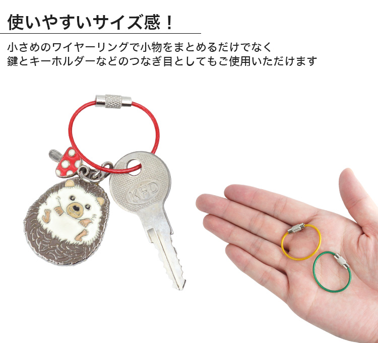 ワイヤーキーリング キーチェーン キーホルダー ステンレス