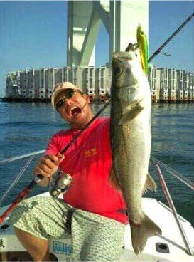 HAMMER HEAD MOET 120F : KOZs-Choice - 通販 - Yahoo!ショッピング