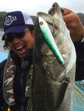 HAMMER HEAD MOET 120F : KOZs-Choice - 通販 - Yahoo!ショッピング