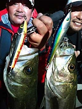 HAMMER HEAD MOET 120F : KOZs-Choice - 通販 - Yahoo!ショッピング