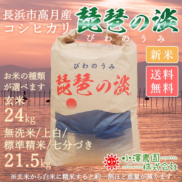 新米】令和5年産 滋賀県産こしひかり 無洗米/上白/標準精米/七分づき