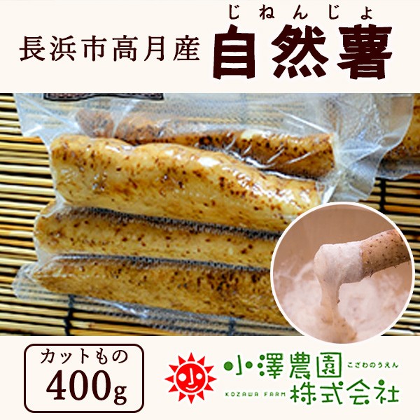 自然薯 1本 1.1〜1.2kg 滋賀県 長浜市 高月産 強い粘り 滋養強壮 伸び