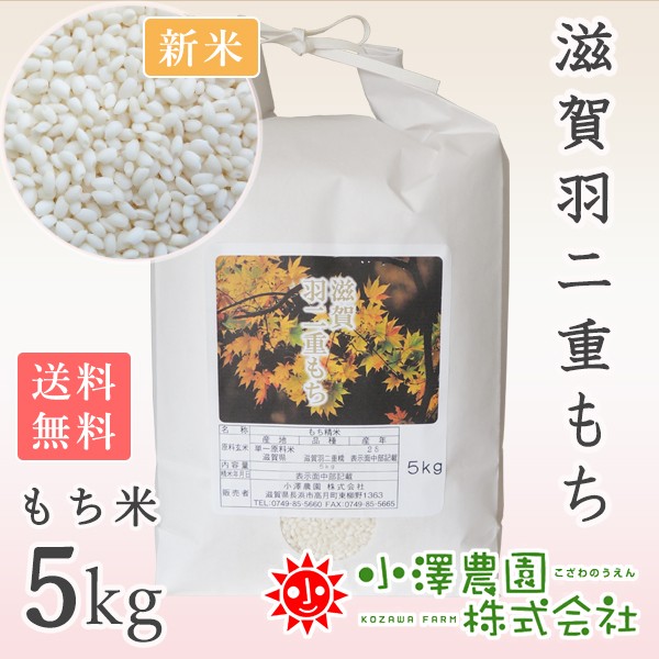 米 令和4年度産 滋賀県産 羽二重もち米 2.8kg - 通販 - escopil.co.mz