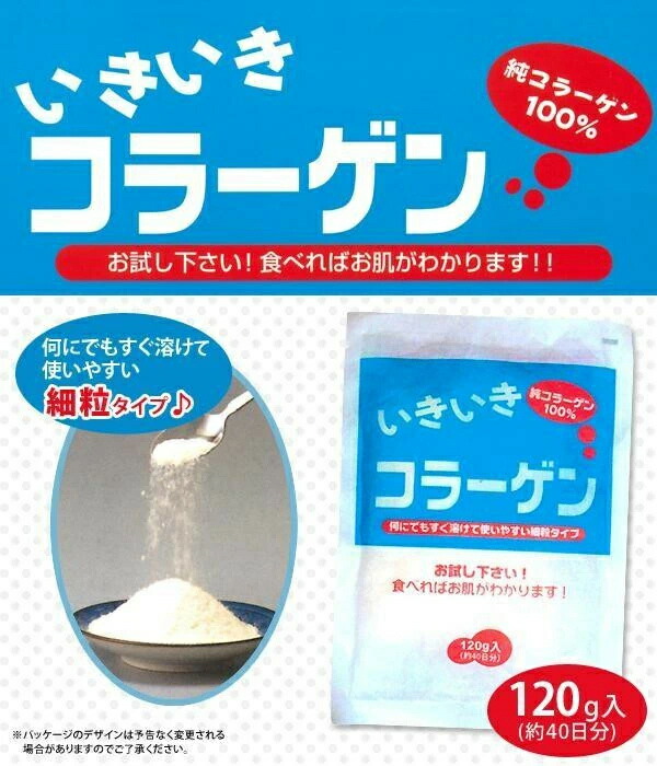 パンフレット1