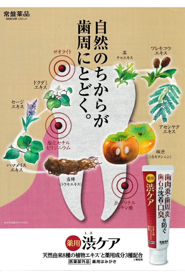 パンフレット1