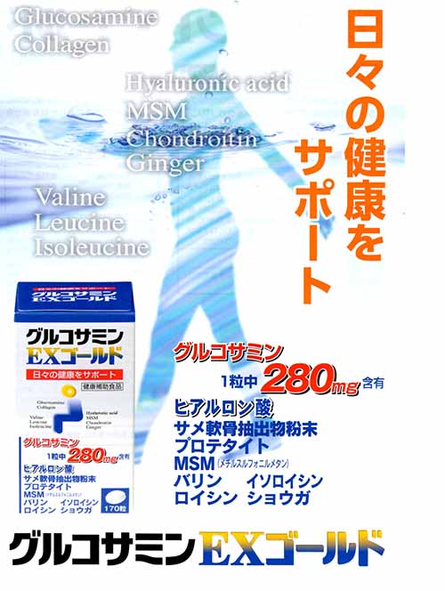 パンフレット1