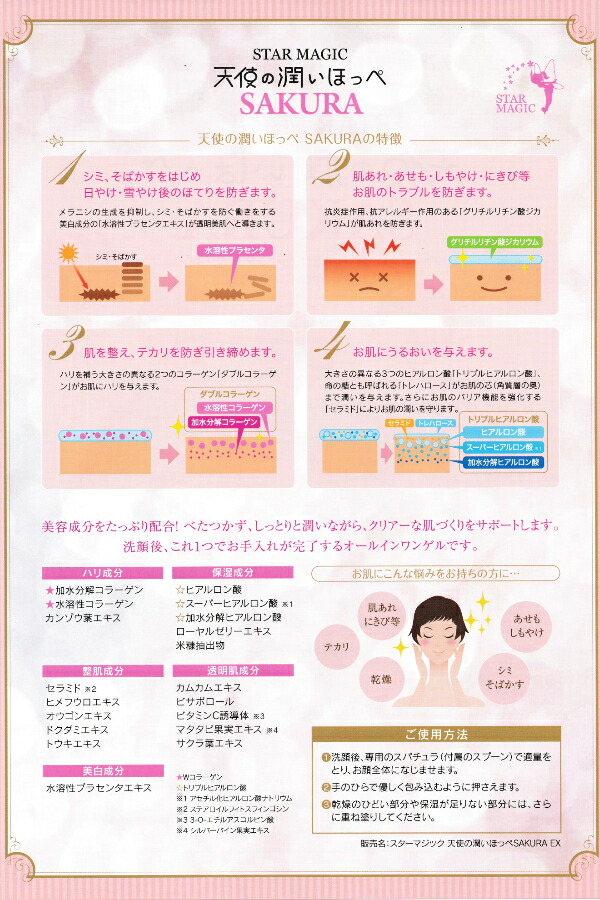 パンフレット2