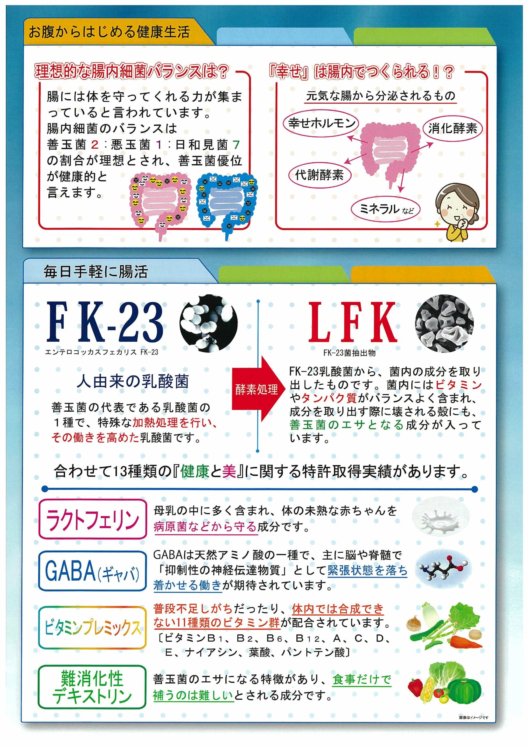 ぷるるるん乳酸菌ゼリーα 10g×30本 3個セット ヨーグルト味 乳酸菌 FK