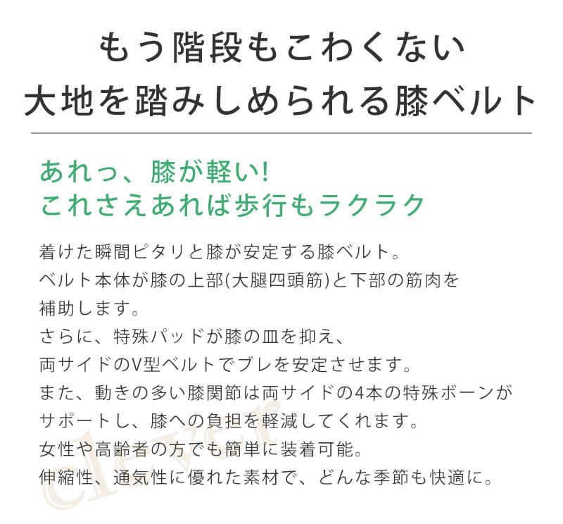 お医者さんのがっちり膝ベルト 大きいサイズ 日本製 3L ひざベルト