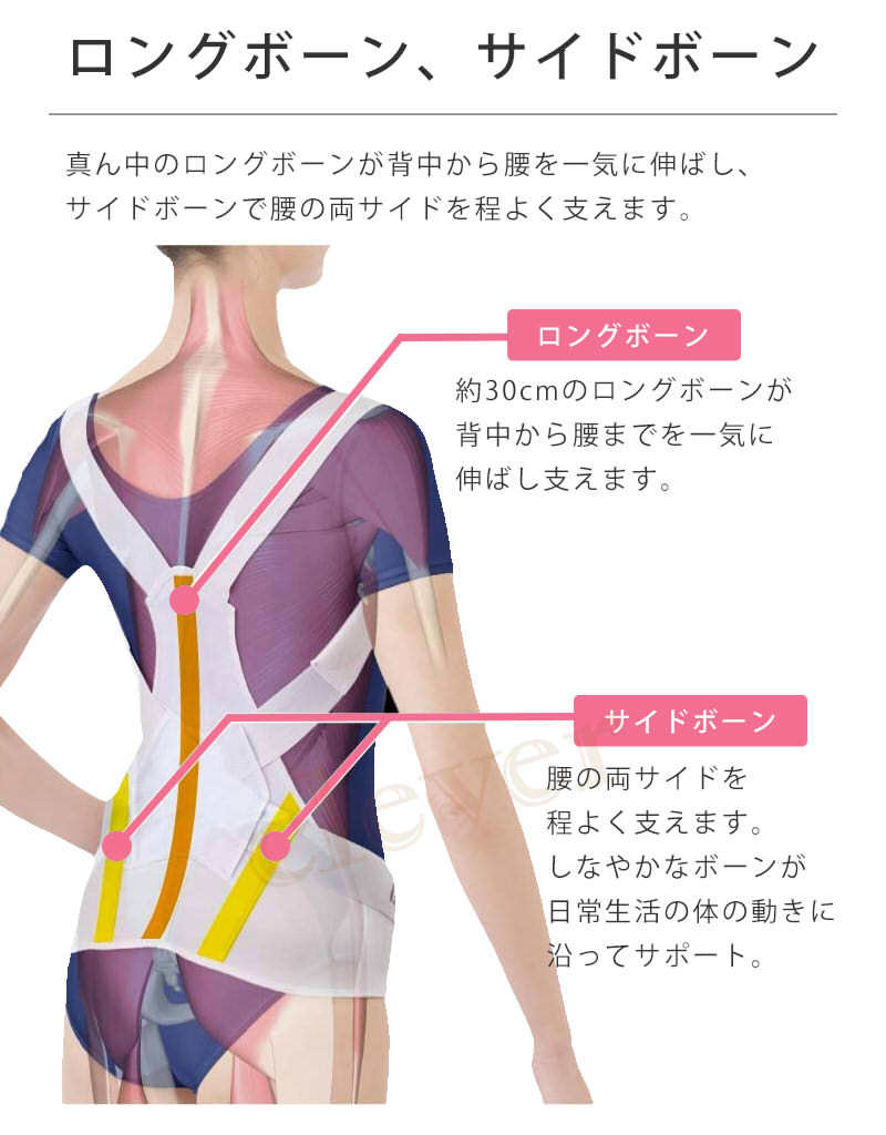オンライン限定商品】 お医者さんのがっちり背すじベルト 背筋ベルト 姿勢矯正 猫背 猫背矯正 背筋矯正 姿勢矯正ベルト 伸ばす 伸ばし 伸びる グッズ 背中  姿勢 腰 サポーター サポート テレワーク 在宅勤務 健康 背筋矯正ベルト 雑貨