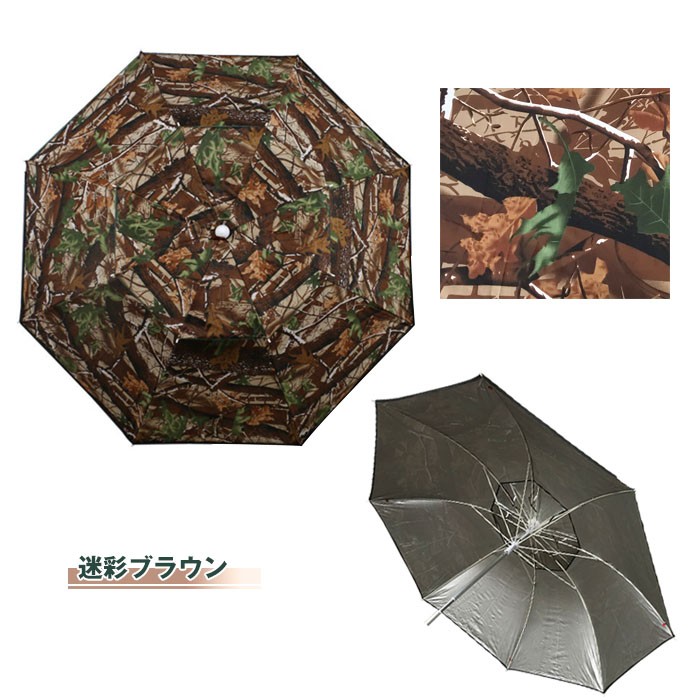 imgrc0081550824.jpg