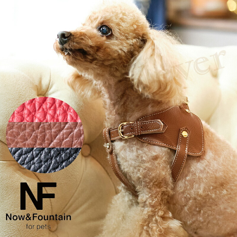 Now&Fountain　ボディーベルト Bタイプ ナチュラルスキン リングハーネス バディベルト ハーネス 首輪 ペット 犬 レザー 本革 犬用