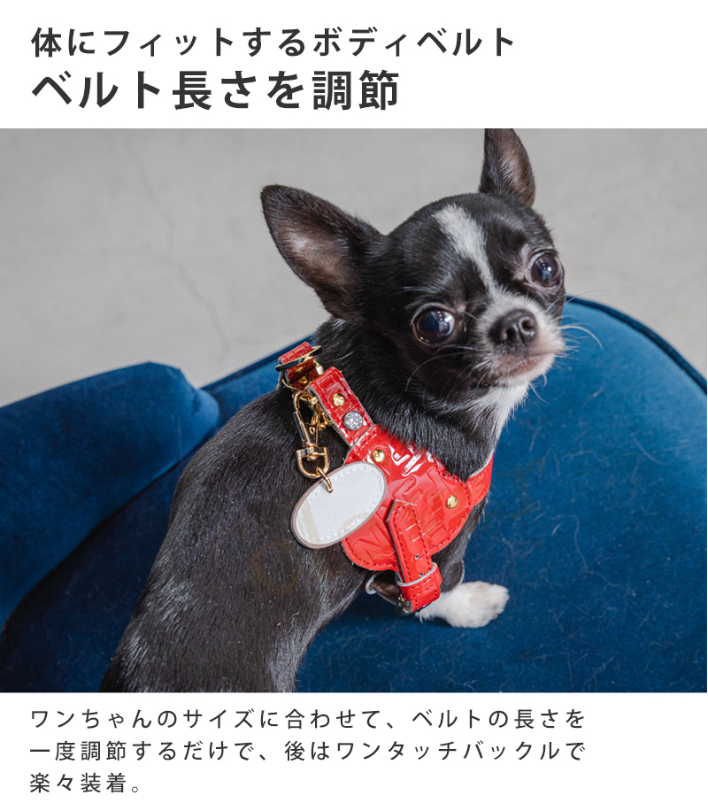 ボディ ベルト ストア 犬