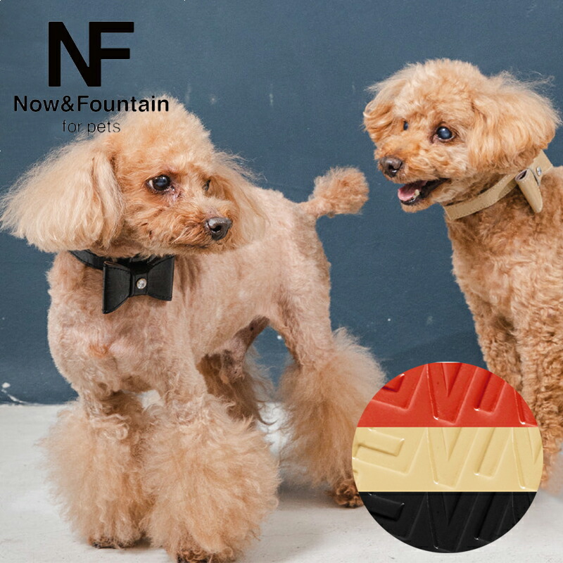 Now&amp;Fountain  MTCY WG[G{X gCv[h ~j`A_bNXth ~j`AViEU[  { K㗝X