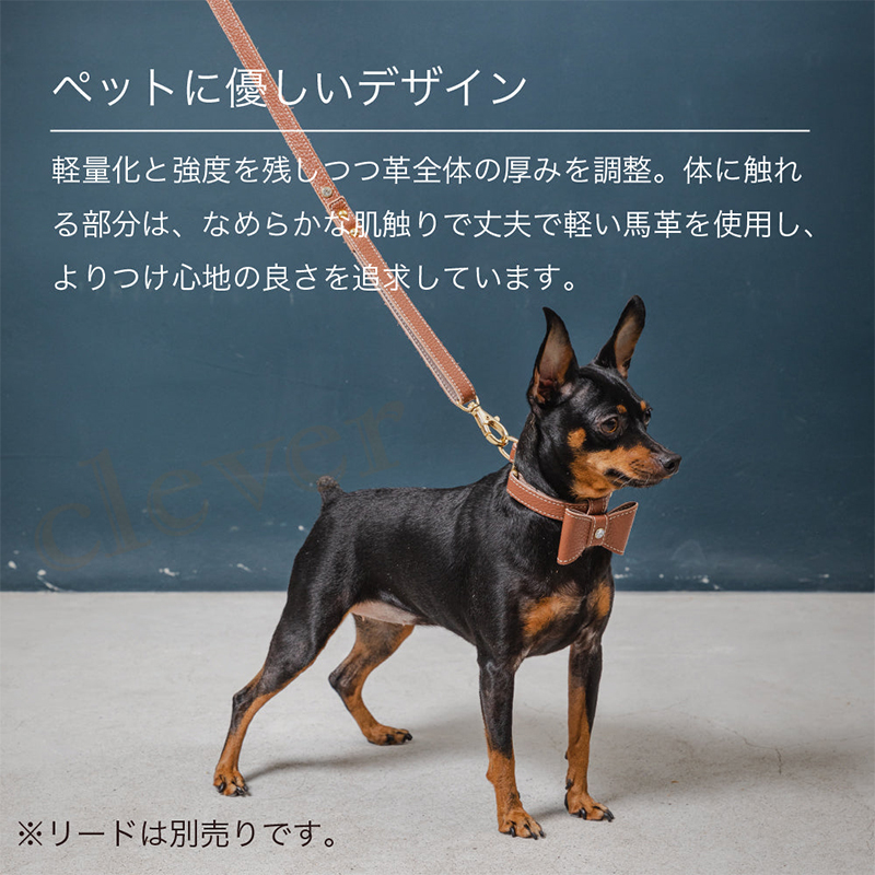 Now&Fountain 首輪 Mサイズ ナチュラルスキン トイプードル Now&Fountain 首輪 Mサイズ ナチュラルスキン トイプードル