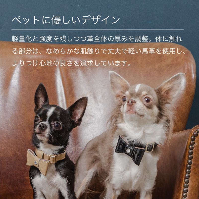 【♥TAI♥TAO♥】✨世界にひとつ✨本革✨フルオーダー✨小型犬猫用首輪 Now&Fountain 首輪 Sサイズ ジュエリーエンボス 小型犬 ティー