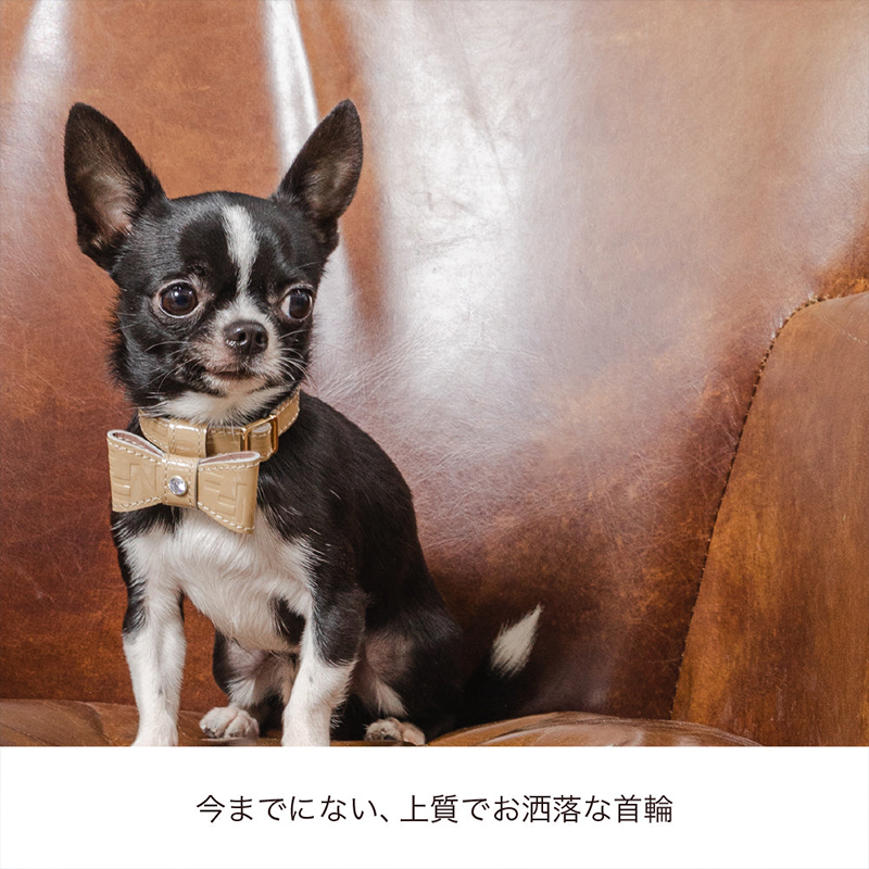Now&Fountain 首輪 Sサイズ ジュエリーエンボス 小型犬 ティー