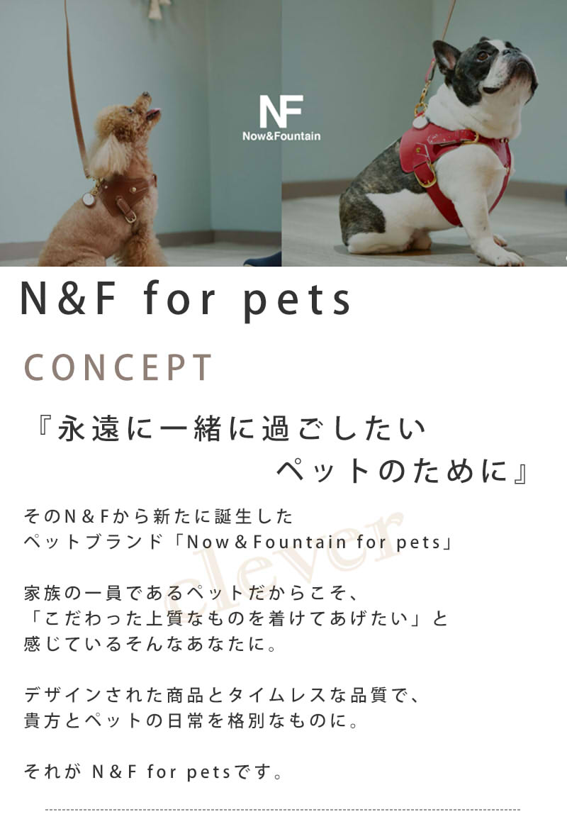 Now\u0026Fountain 首輪 Sサイズ ジュエリーエンボス 小型犬 ティーカッププードル チワワ 超小型犬 犬 首輪 犬  日本製 本革 正規代理店 爆買の画像