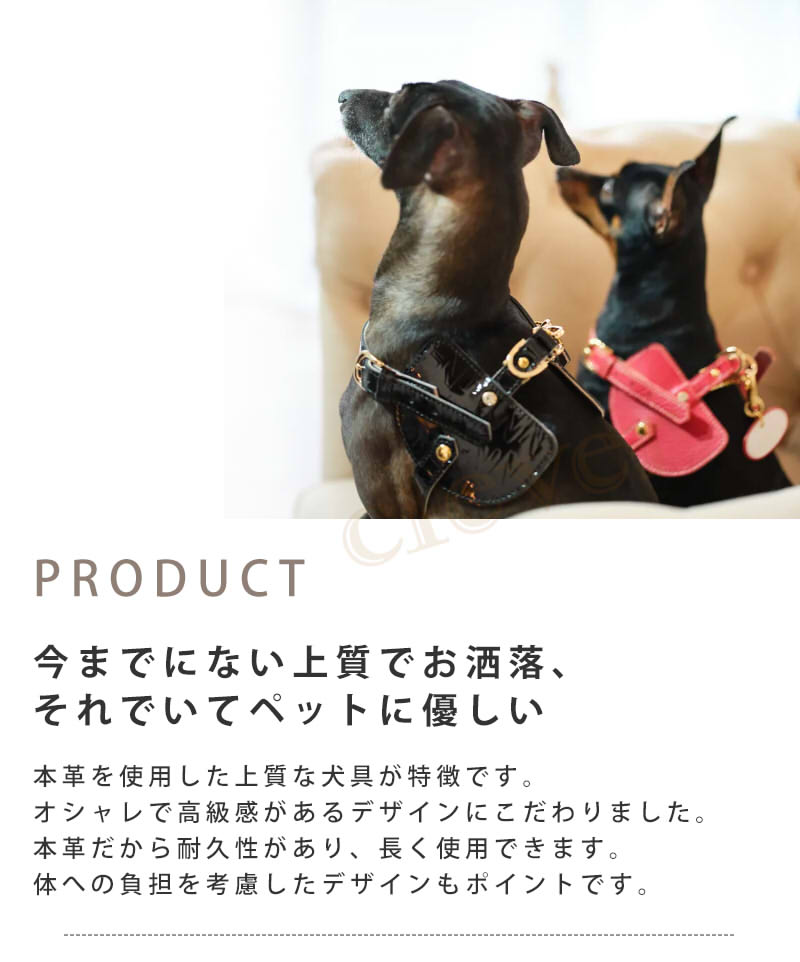 Now\u0026Fountain 首輪 Sサイズ ジュエリーエンボス 小型犬 ティーカッププードル チワワ 超小型犬 犬 首輪 犬  日本製 本革 正規代理店 爆買の画像