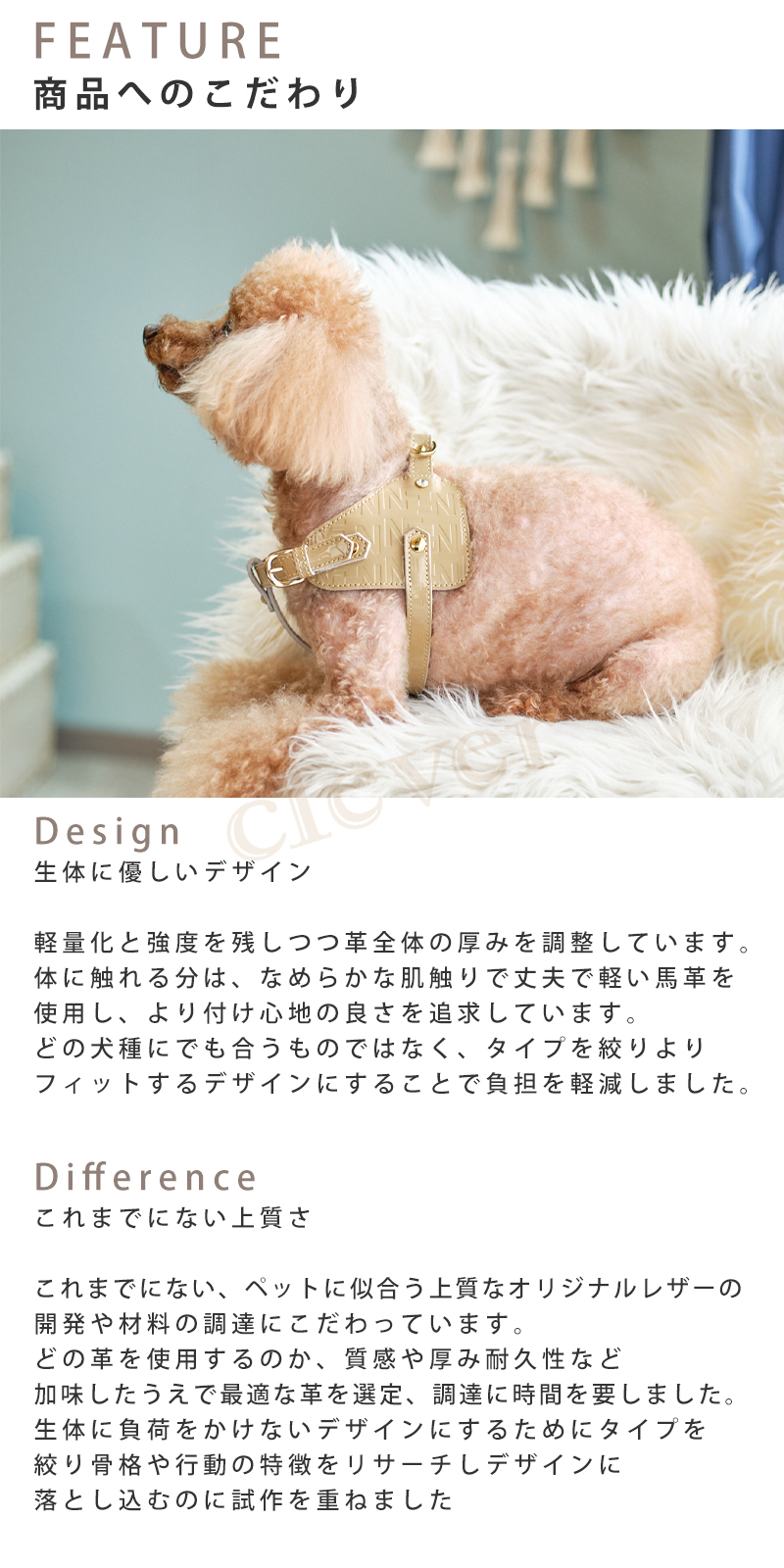 Now\u0026Fountain 首輪 Sサイズ ジュエリーエンボス 小型犬 ティーカッププードル チワワ 超小型犬 犬 首輪 犬  日本製 本革 正規代理店 爆買の画像