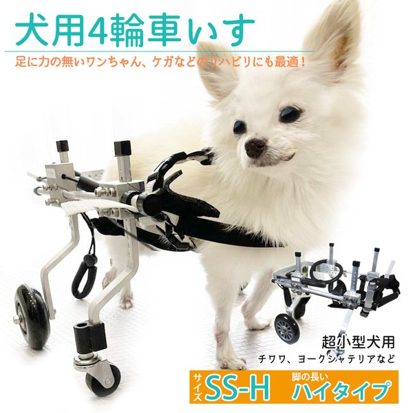 h様愛犬ちゃんオーダーメイド品(チワワ25センチ)ペットと暮らす2021        