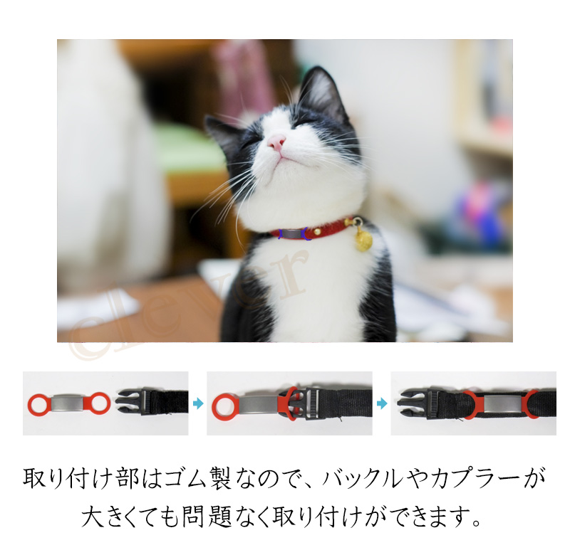 ペット用 ネーム プレート ドッグタグ ドックタグ ペットタグ 迷子札 ペット用名札 名入れ無料 IDタグ 犬 猫 ネームプレート ネームタグ オーダーメイド 爆買 関連画像2
