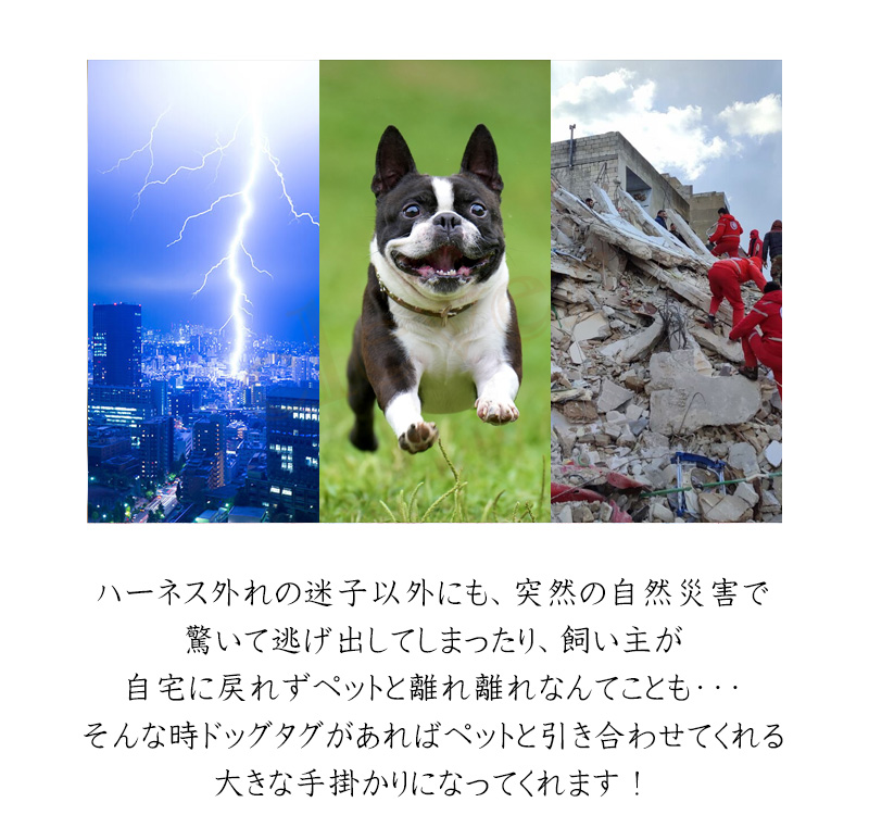 ペット用 ネーム プレート ドックタグ 肉球 肉球型 ペットタグ 迷子札 ペット用名札 名入れ無料 電話番号 IDタグ 犬 猫 ネームプレート ネームタグ｜kp501no2｜05