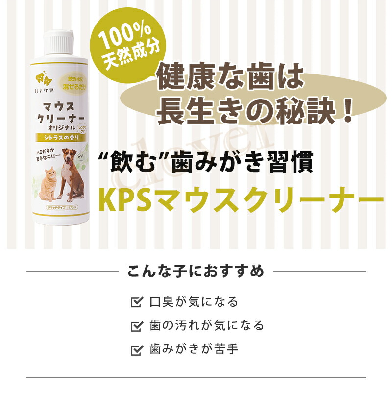 マウスクリーナー 473の商品一覧 通販 - Yahoo!ショッピング マウスクリーナー 473の商品一覧 通販 - Yahoo!ショッピング